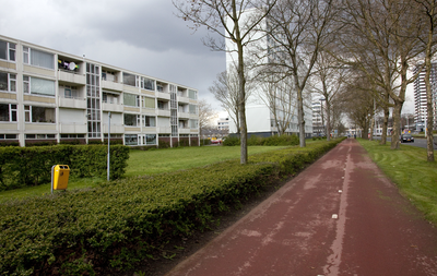 816061 Gezicht op het fietspad langs de Beneluxlaan te Utrecht, met links het flatgebouw met de woningen Eisenhowerlaan ...